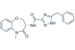 Selleck Chemical LLC GSK2982772 2mg 1622848-92-3, Quantity: Each of 1