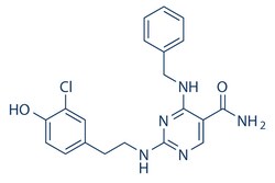 Selleck Chemical LLC AS1517499 5mg 919486-40-1, Quantity: Each of 1