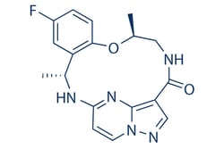 Selleck Chemical LLC Repotrectinib (TPX-0005) 5mg 1802220-02-5, Quantity:
