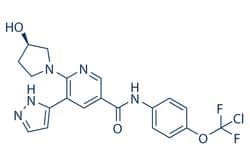 Selleck Chemical LLC Asciminib (ABL001) 2mg 1492952-76-7, Quantity: Each