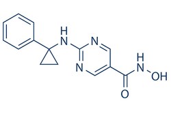 Selleck Chemical LLC ACY-738 2mg 1375465-91-0, Quantity: Each of 1