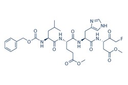 Selleck Chemical LLC Z-LEHD-FMK TFA 2mg 524746-03-0 Caspase-9 Inhibitor,