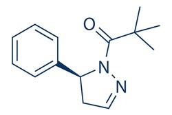 Selleck Chemical LLC GSK'963 5mg 2049868-46-2, Quantity: Each of 1