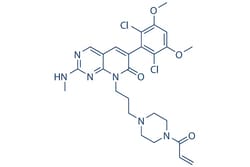 Selleck Chemical LLC PRN1371 2mg 1802929-43-6, Quantity: Each of 1