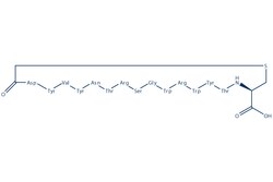 Selleck Chemical LLC CP2 5mg, Quantity: Each of 1