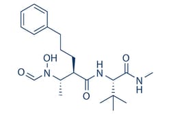 Selleck Chemical LLC GI254023X 2mg 260264-93-5 GI 4023, Quantity: Each