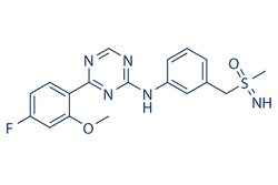Selleck Chemical LLC Atuveciclib (BAY-1143572) 2mg 1414943-88-6, Quantity: