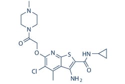Selleck Chemical LLC LY2119620 5mg 886047-22-9, Quantity: Each of 1