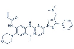 Selleck Chemical LLC Lazertinib 5mg 1903008-80-9 YH25448,GNS-1480, Quantity:
