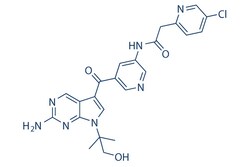 Selleck Chemical LLC PF-06273340 10mg 1402438-74-7, Quantity: Each of 1