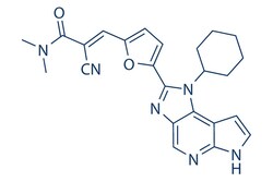 Selleck Chemical LLC FM-381 2mg 2226521-65-7, Quantity: Each of 1