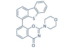 Selleck Chemical LLC LTURM34 5mg 1879887-96-3, Quantity: Each of 1