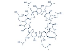 Selleck Chemical LLC (2-Hydroxypropyl)--cyclodextrin (HP--CD) 25mg 128446-35-5