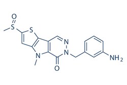 Selleck Chemical LLC TEPP-46 (ML265) 5mg 1221186-53-3 CID-44246499, NCGC00186528,