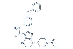 Selleck Chemical LLC Zanubrutinib (BGB-3111) 2mg 1691249-45-2, Quantity: