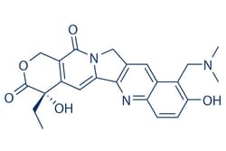 Selleck Chemical LLC Topotecan 25mg 123948-87-8, Quantity: Each of 1
