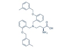 Selleck Chemical LLC V-9302 5mg 1855871-76-9, Quantity: Each of 1