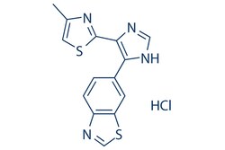 Selleck Chemical LLC TP0427736 HCl 5mg 864374-00-5, Quantity: Each of 1