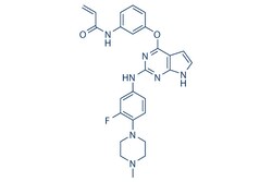 Selleck Chemical LLC Avitinib (AC0010) 5mg 1557267-42-1, Quantity: Each