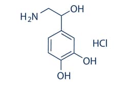 Selleck Chemical LLC DL-Norepinephrine hydrochloride 5mg 55-27-6 noradrenaline