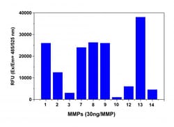 Aat Bioquest Amplite Universal Fluorimetric MMP Activity Assay Kit *Green