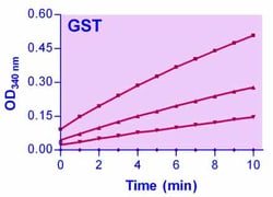 Bioassay Systems QuantiChrom™ Glutathione S-transferase Assay Kit. Glutathione S-transferase activity determination in biological samples.