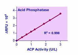 Bioassay Systems QuantiFluo™ Acid Phosphatase Assay Kit. Acid Phosphatase activity determination in biological samples (e.g. plasma, serum, cell lysate, tissue samples.)