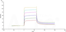 ACROBiosystems FCRN HIS AVI, Quantity: Each of 1