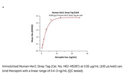 ACROBiosystems ACROBiosystems Human Her2 / ErbB2 Protein, Strep Tag, Quantity: