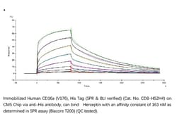 ACROBiosystems ACROBiosystems Human Fc gamma RIIIA / CD16a (V176) Protein,