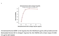 ACROBiosystems ACROBiosystems Biotinylated Human IGF-II Protein, Avitag