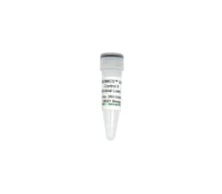 Zymo Research Corporation ZymoBIOMICS Spike-in Control II (Low Microbial