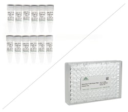 Zymo Research Corporation&nbsp;Zymo-Seq UDI Primer Set (Indexes 1-12)