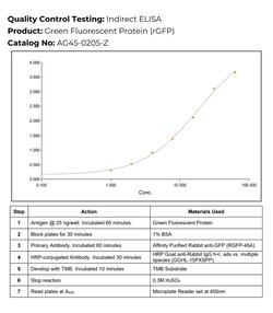 Immunology Consultants Green Fluorescent Protein Control (GFP), 0.1 mg,
