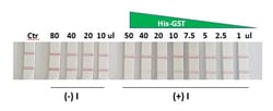 Abcam&nbsp;His-Tag Protein E x pression Check Kit, 30 Tests