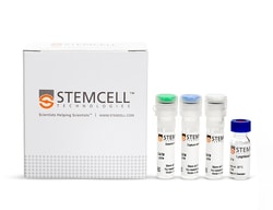 STEMCELL Technologies Human IgA ELISA Antibody Pair Kit, Size: 1 Kit, Quantity: