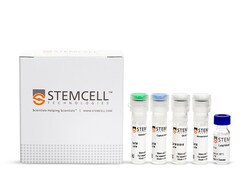 STEMCELL Technologies Mouse IgE ELISA Antibody Pair Kit, Size: 1 Kit, Quantity: