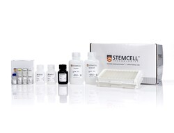 STEMCELL Technologies Mouse IFN-gamma ELISA Kit, Size: 2 Units, Quantity: