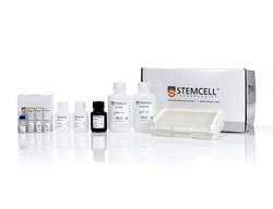STEMCELL Technologies Human IL-13 ELISA Kit, Size: 2 Units, Quantity: Pack
