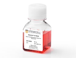 STEMCELL Technologies MethoCult™ SF M3236, Size: 80 mL