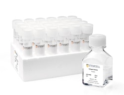 STEMCELL Technologies MegaCult™-C Collagen and Medium with Cytokines, Size: 1 Kit