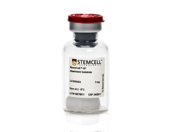 STEMCELL Technologies MesenCult -SF Attachment Substrate, Size: 5 mg, Quantity: