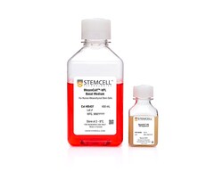 STEMCELL Technologies MesenCult -hPL Medium Kit, Size: 1 Kit, Quantity: