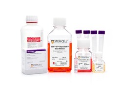 STEMCELL Technologies Erythroid Progenitor Reprogramming Kit, Size: 1 Kit,