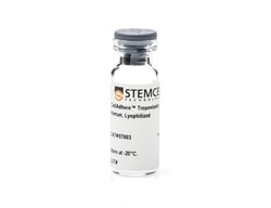 STEMCELL Technologies CellAdhere Tropoelastin, Human, Lyophilized, Size: