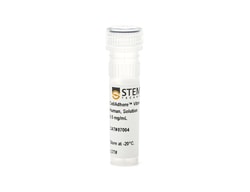 STEMCELL Technologies CellAdhere Vitronectin, Human, Solution, Size: 0.2