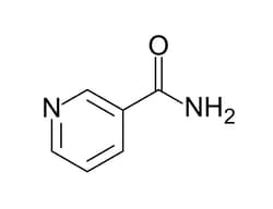STEMCELL Technologies Nicotinamide, Size: 100 g, Quantity: Each of 1