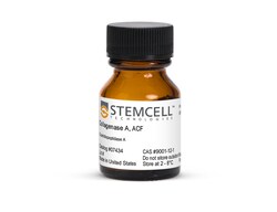 STEMCELL Technologies Collagenase A, ACF, Size: 100 mg, Quantity: Each