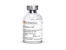 STEMCELL Technologies&nbsp;DisCoZyme 1, ACF, Size: 50 mg