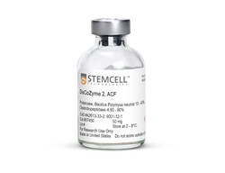 STEMCELL Technologies&nbsp;DisCoZyme 2, ACF, Size: 50 mg